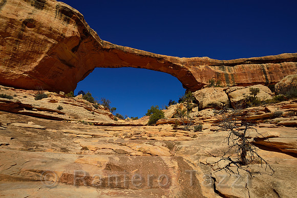 Owachomo Bridge - Natural Bridges National Monument, Utah, USA