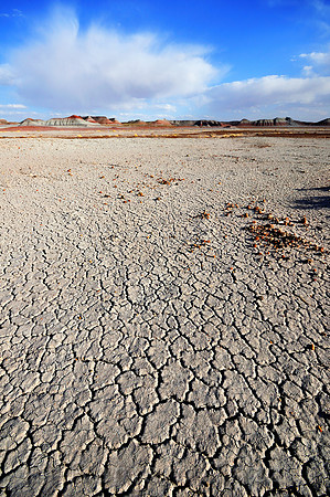 Petrified Forest - Arizona, Usa