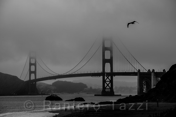 San Francisco - California, USA
