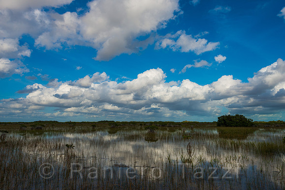 Everglades: Beginning of the wet season. Florida, Usa
