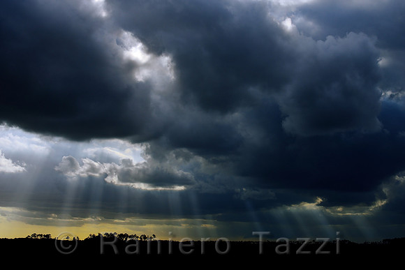 Sunrays through a forming storm in the Everglades, Florida, Usa