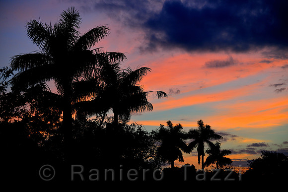 Colors of Florida - Everglades