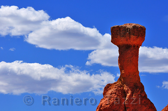 Typical Hoodoo in Bryce Canyon National Park - Utah, Usa