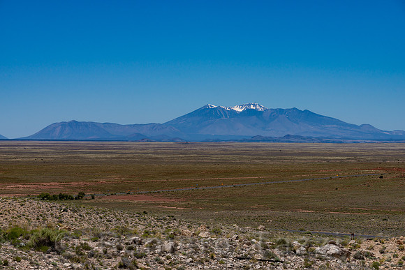 San Francisco Peaks from Petrified Forest