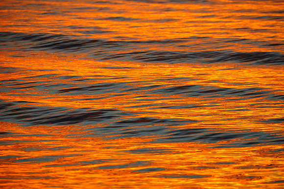 Gulf of Mexico at sunset, Sarasota, Florida