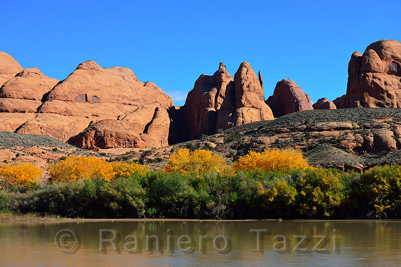 Colorado River near Moab - Utah, Usa