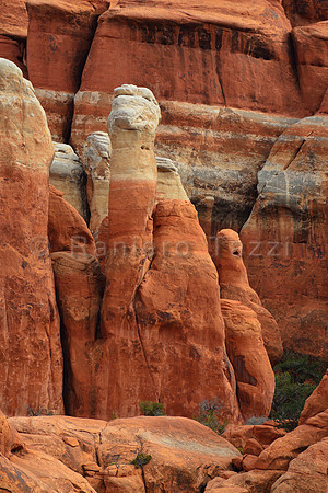 Freak of Nature - Utah, USA